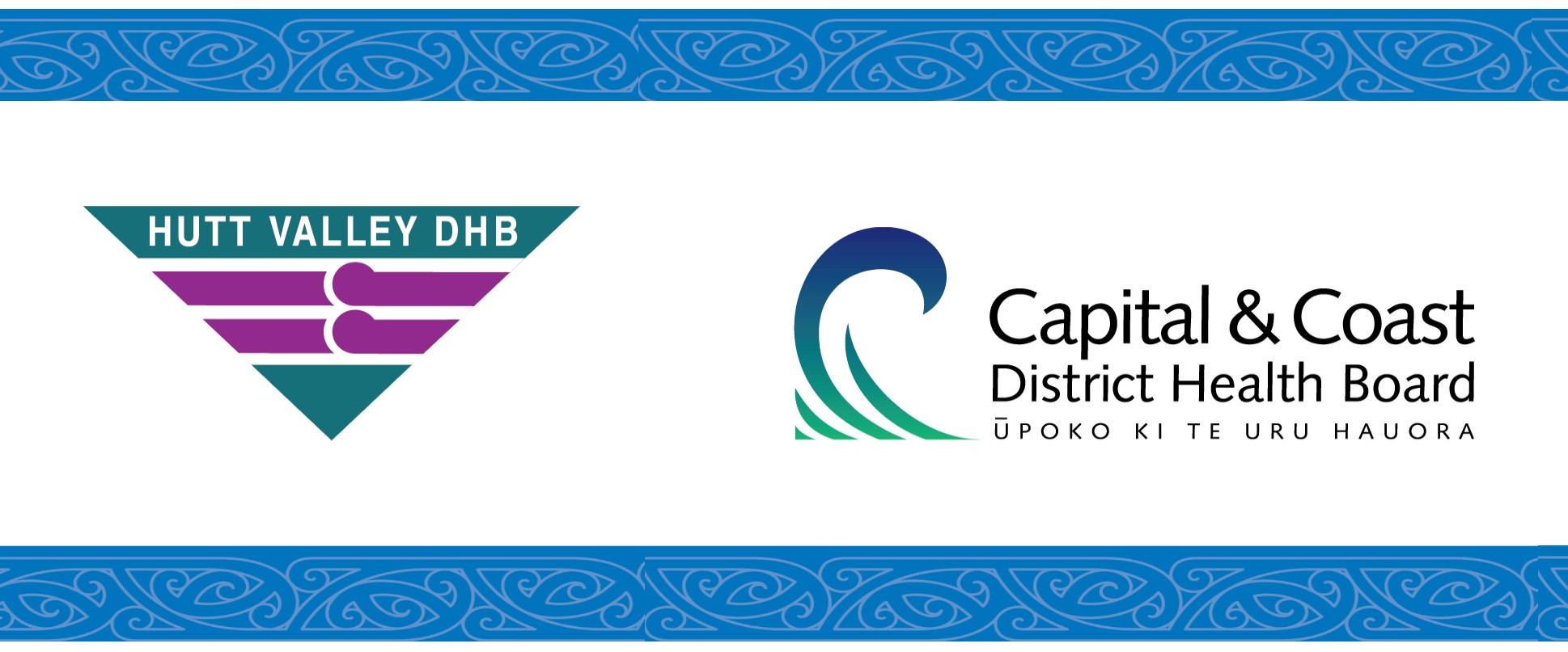 Capital & Coast District Health Board (Wellington) Careers Logo